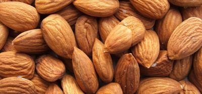Almond (Kernel)