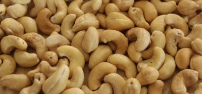 Cashew Nut