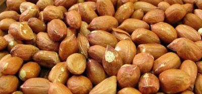 Peanuts