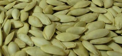 Pumpkin-Seed-(Lady Nail)